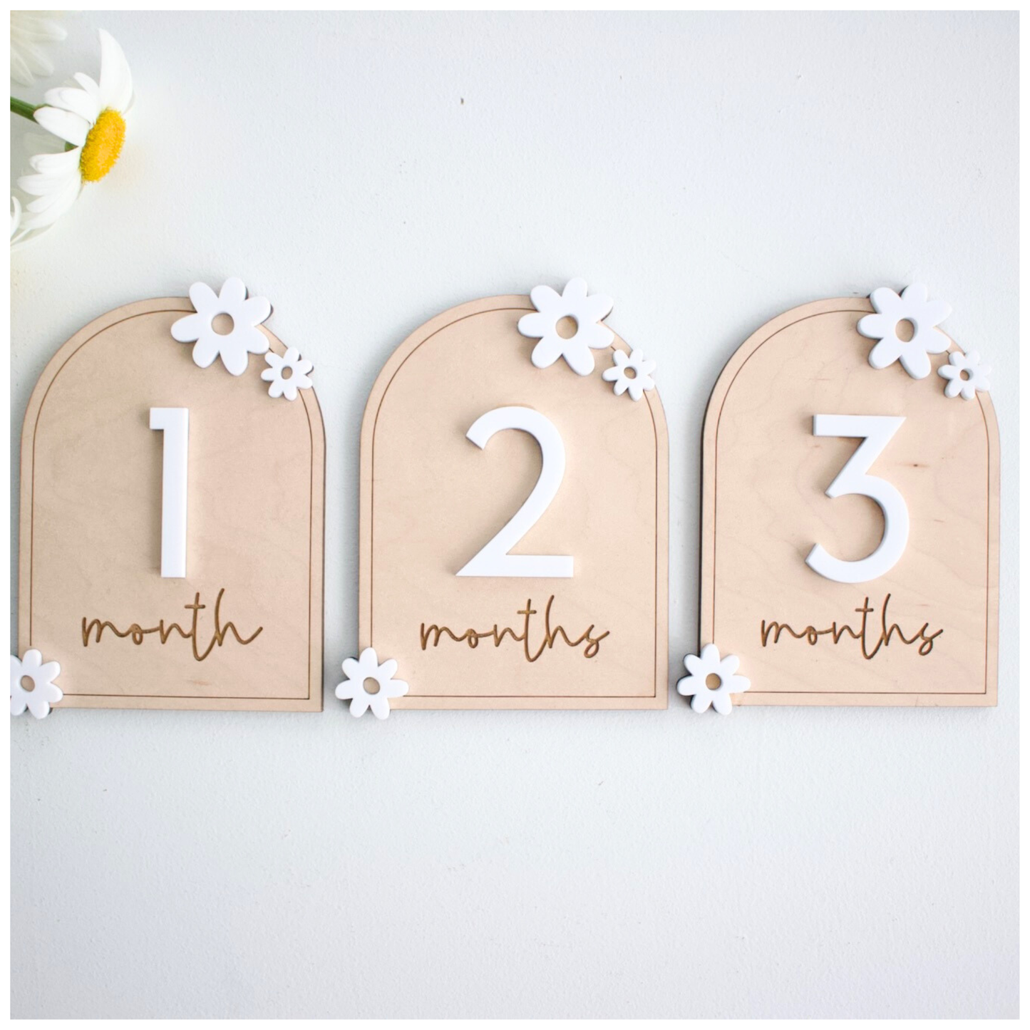 Daisy Arch Milestones