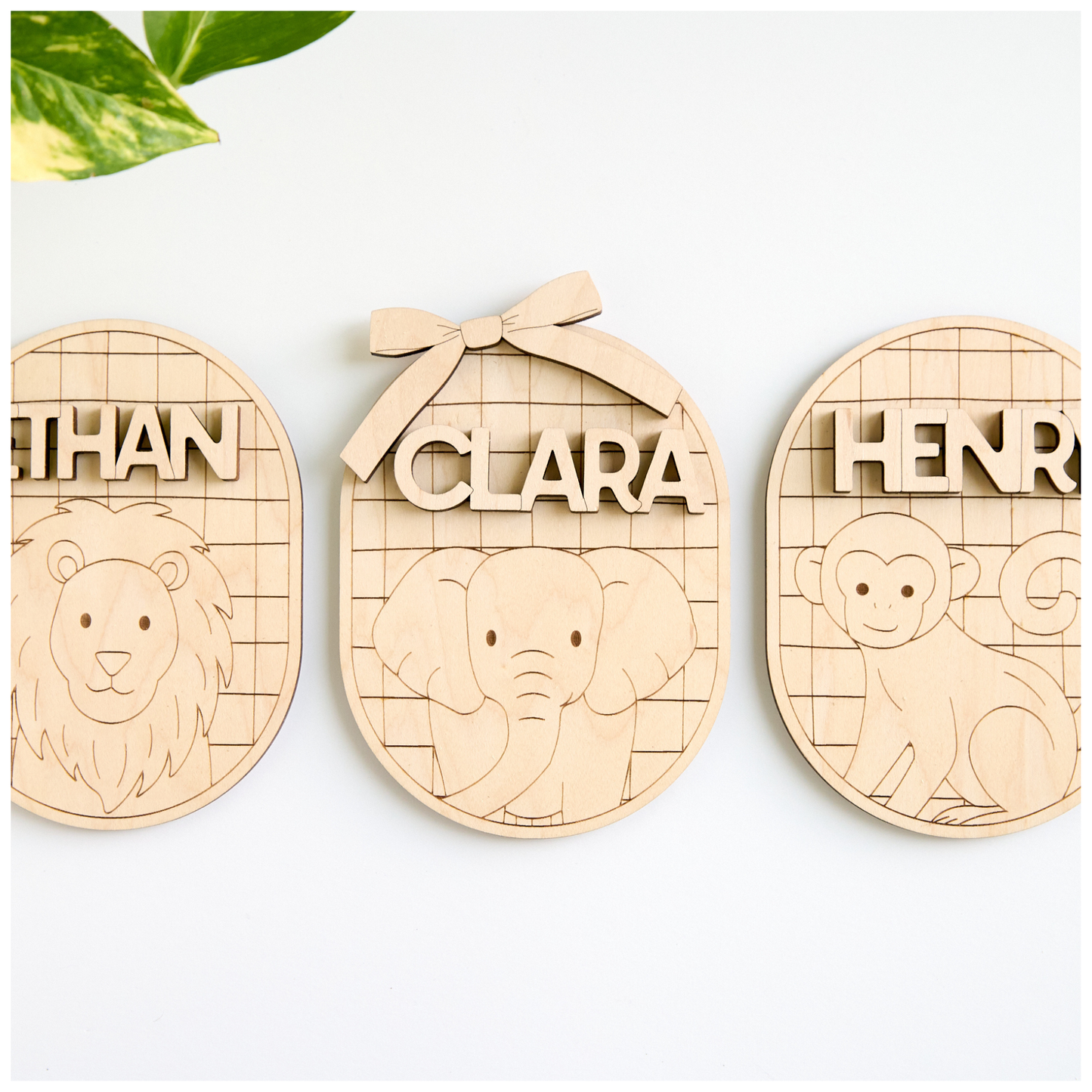 Zoo Animal Name Signs