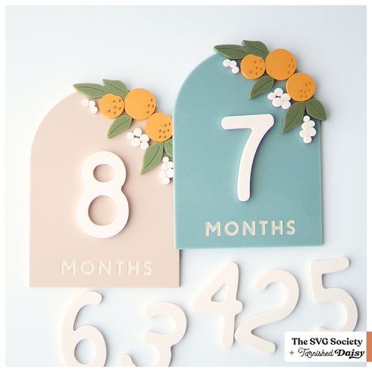 Clementine Milestones