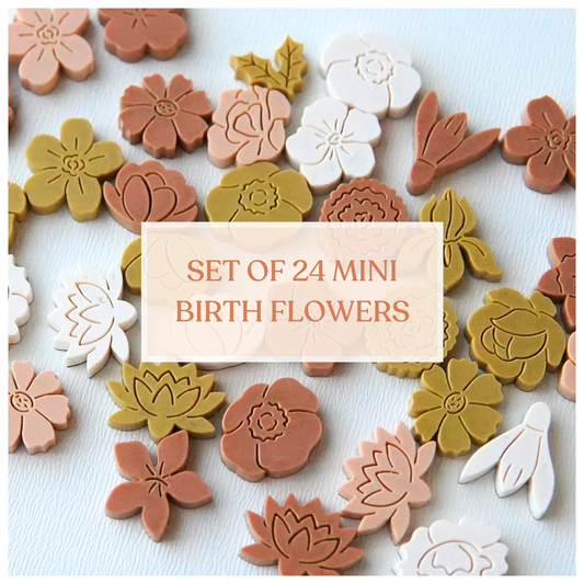 24 Mini Birth Flowers