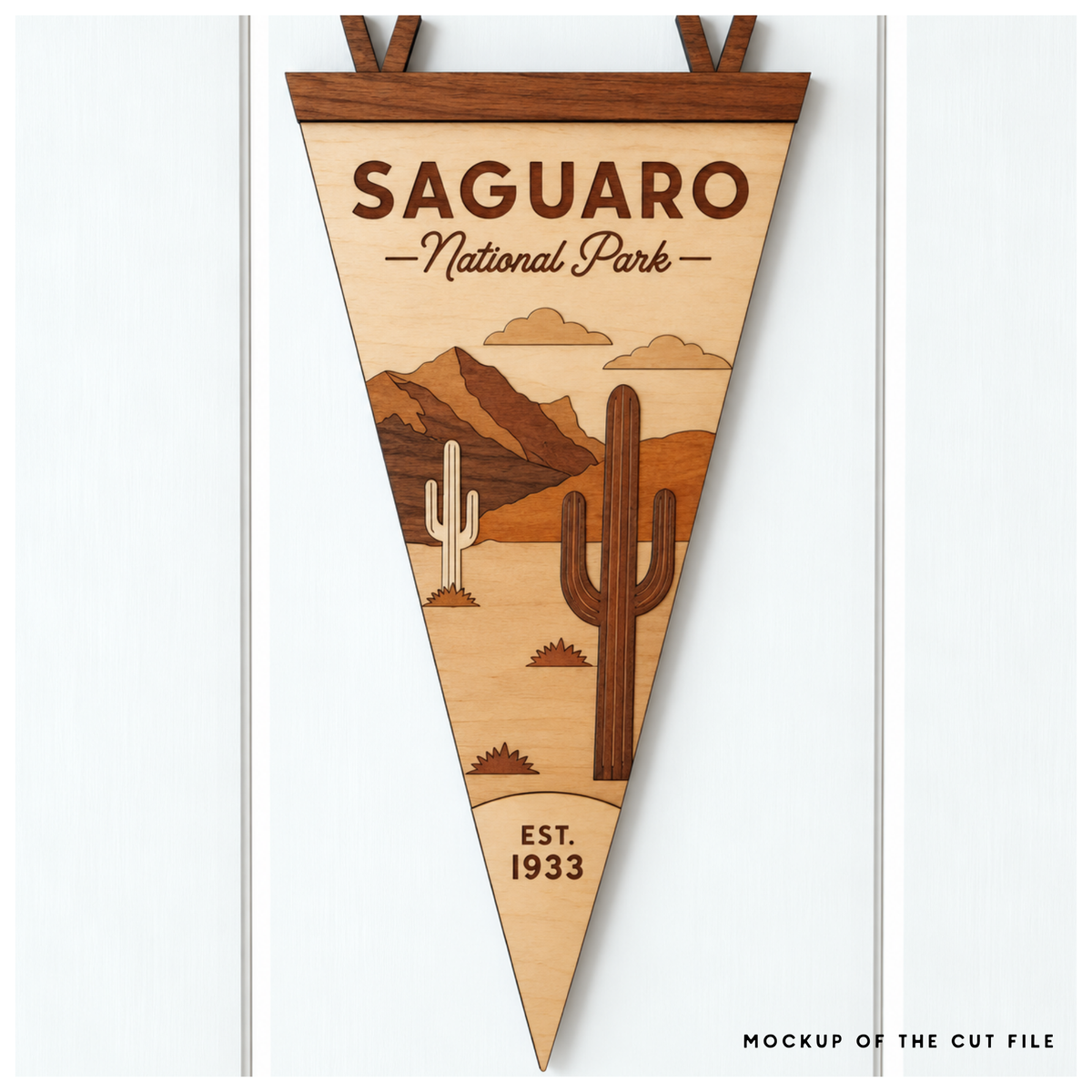 National Park Collection: Saguaro National Park
