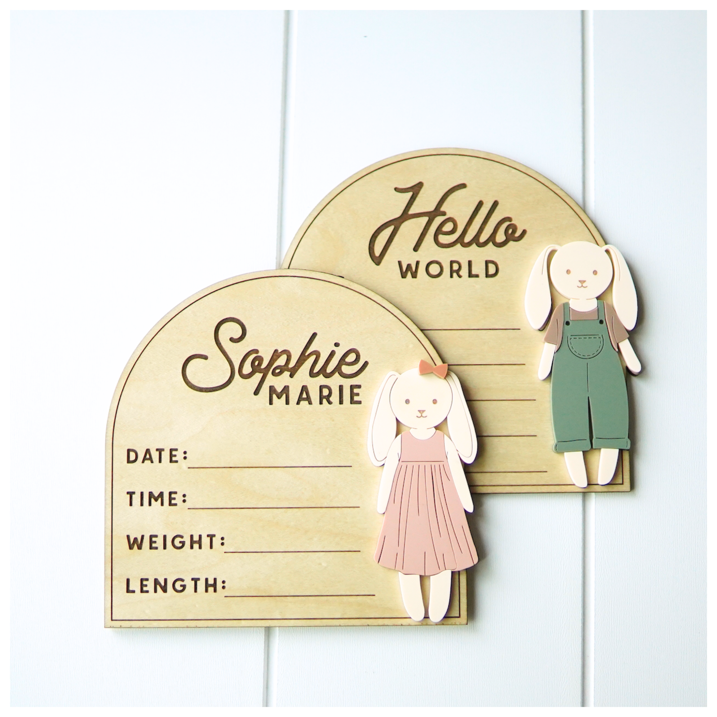 Birth Stats & Hello World Bunnies Signs