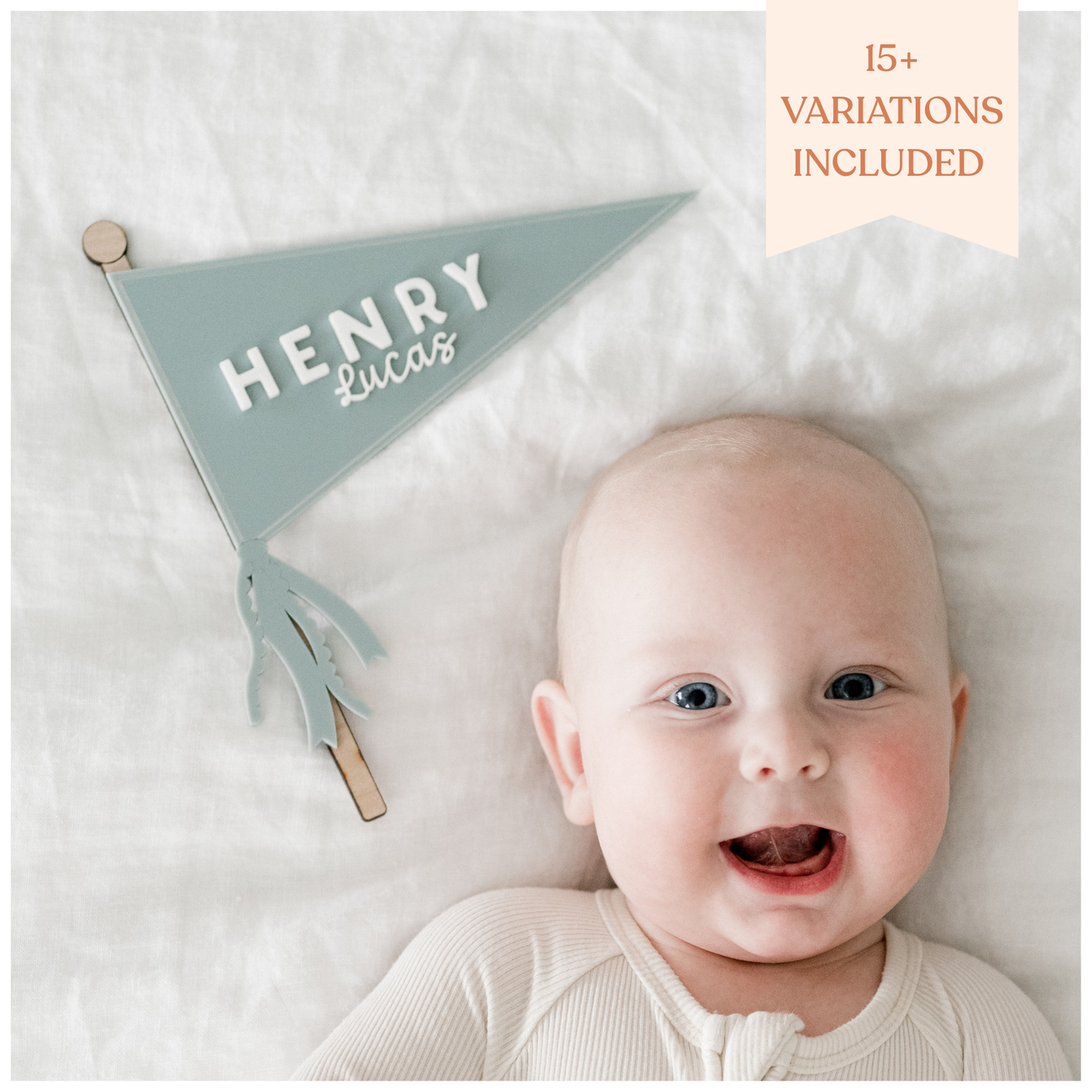 Pennant Flag Asset Pack