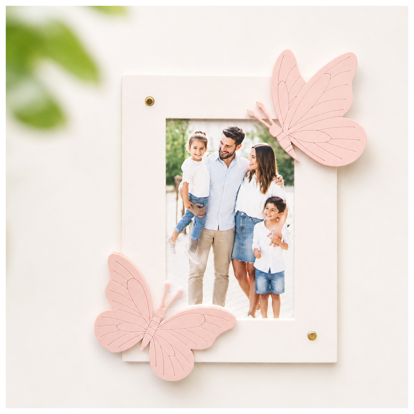 Butterfly Magnet Frame