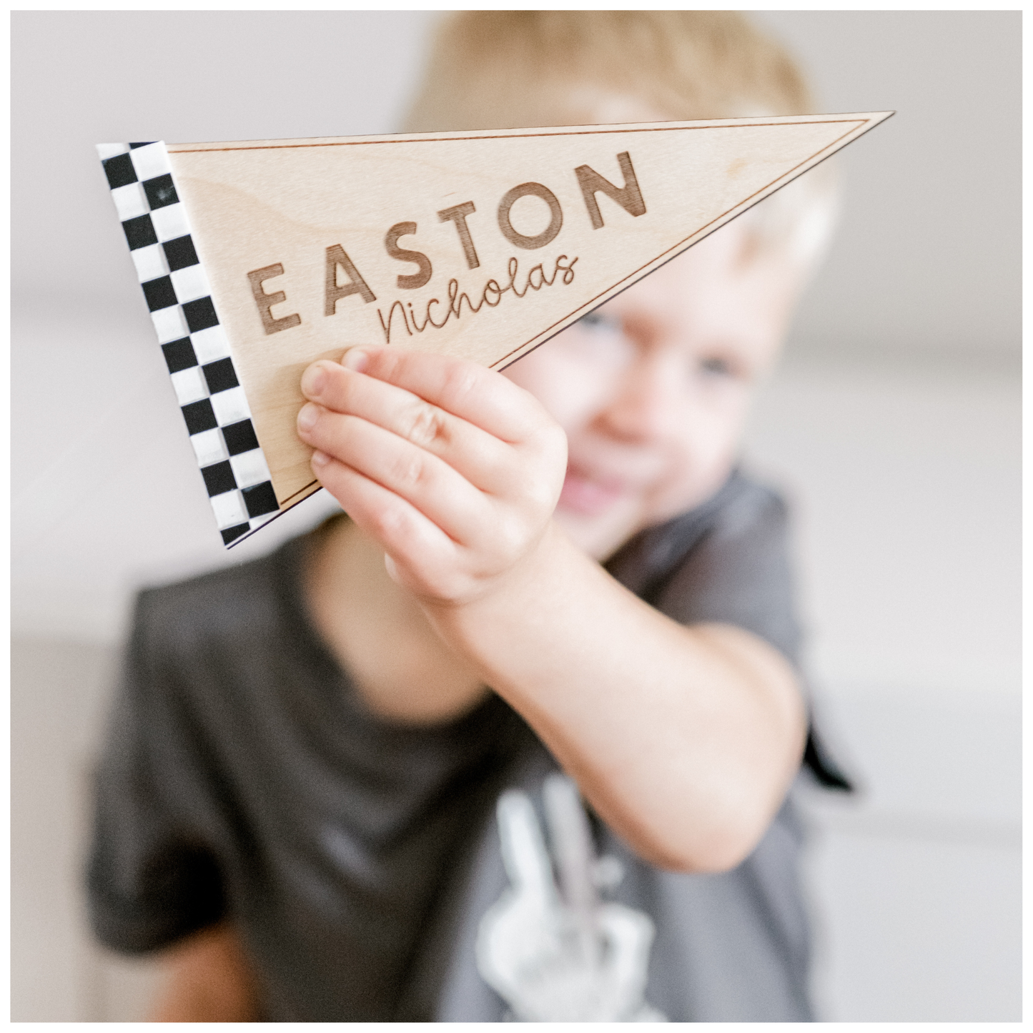 Pennant Flag Asset Pack