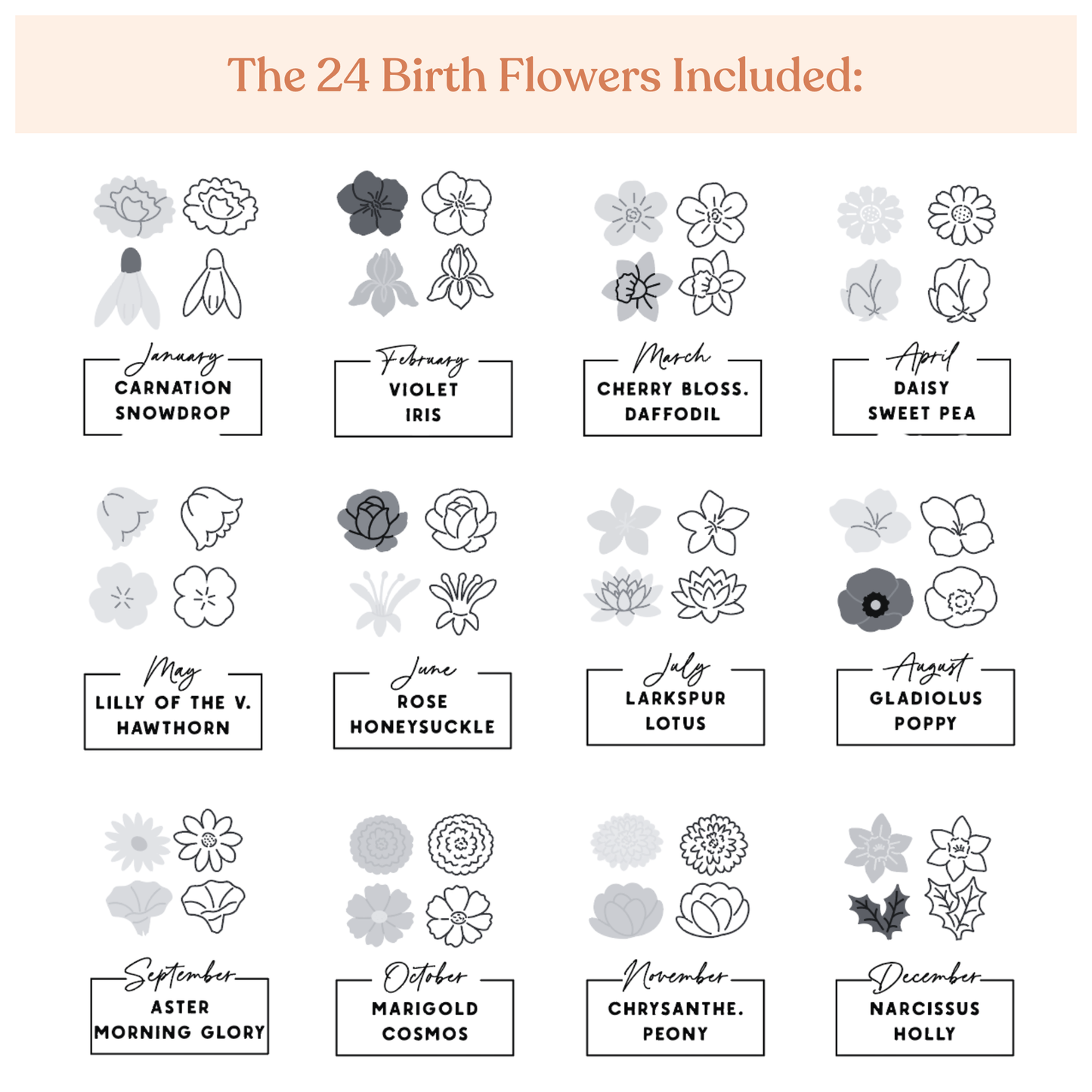 24 Mini Birth Flowers