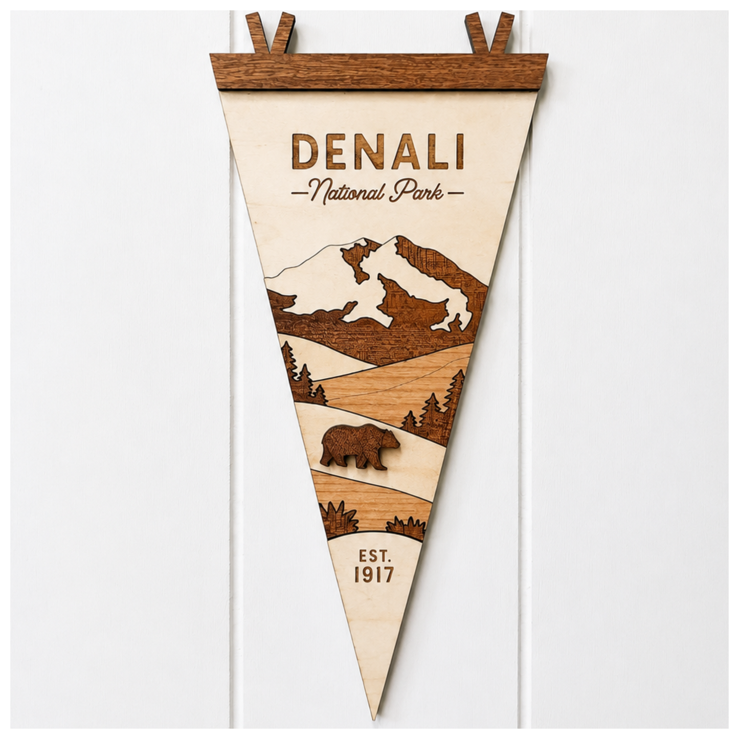 National Park Collection: Denali National Park Flag