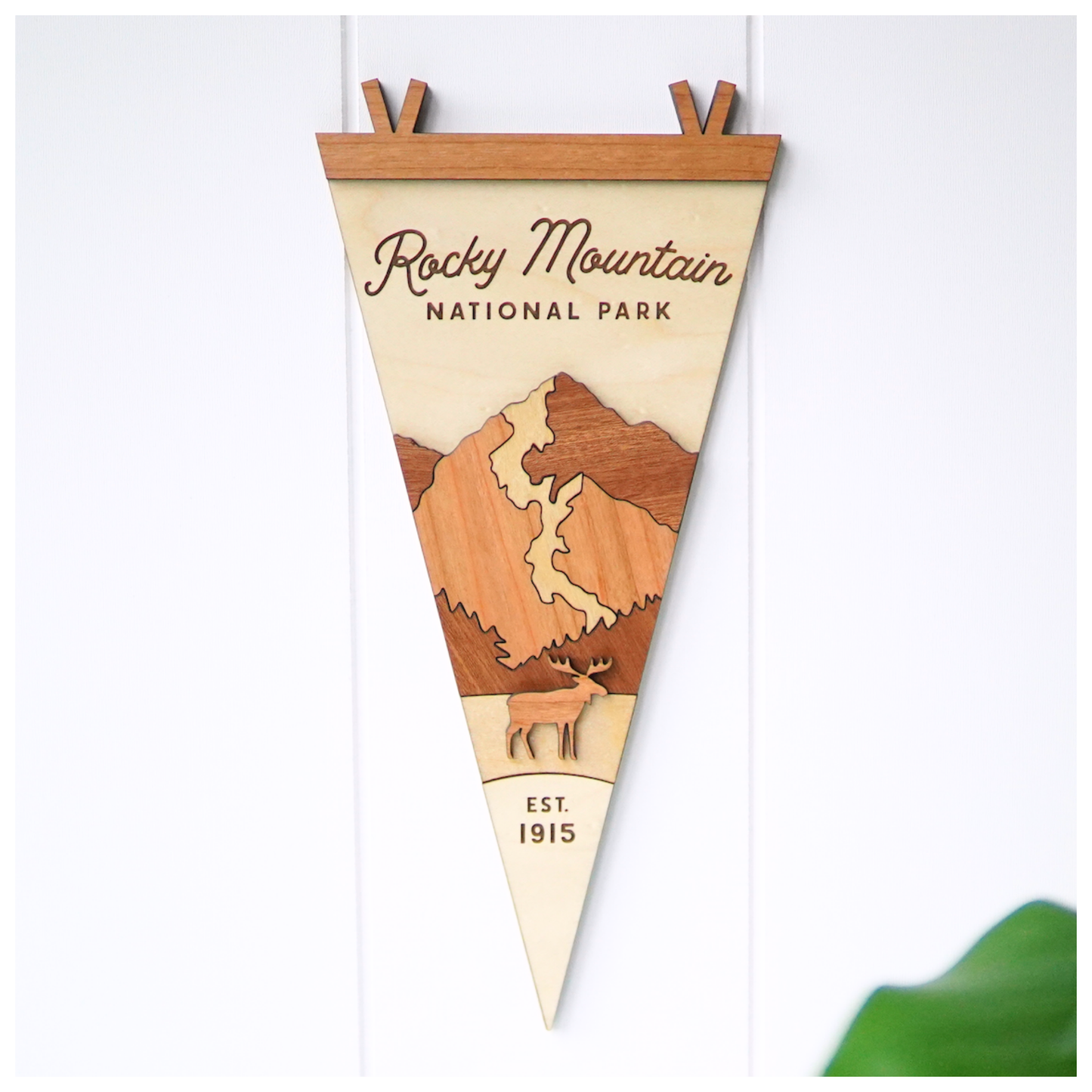 National Park Collection: Rocky Mountian National Park Flag